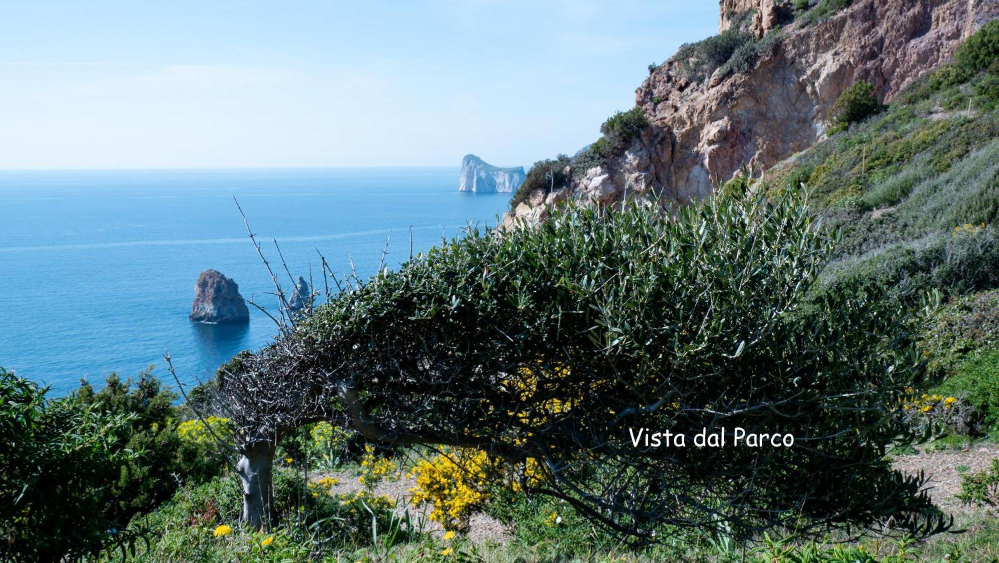 Il Sogno Tanca Piras Nebida